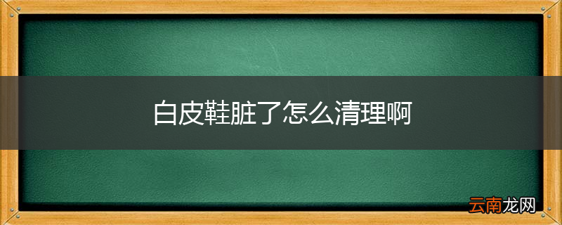 白皮鞋脏了怎么清理啊