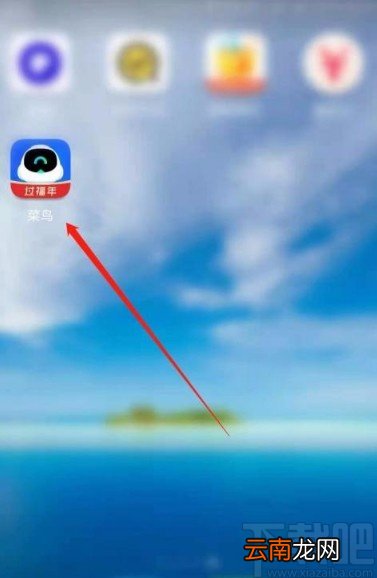 菜鸟app开启夜间免打扰模式的方法