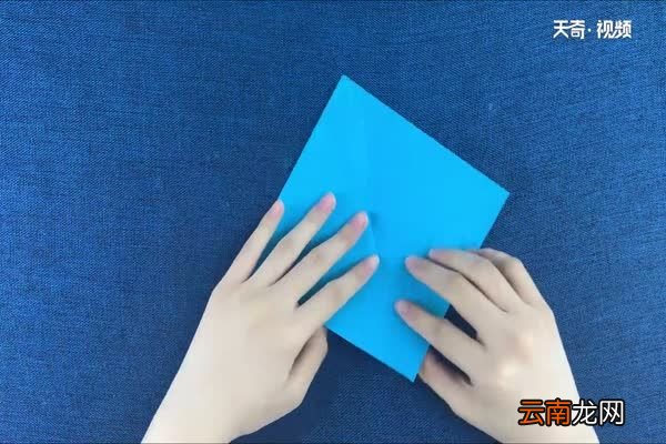海豚怎么折