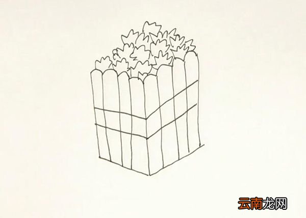 爆米花简笔画
