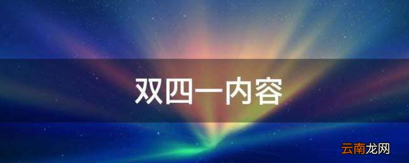 双四一的内容是什么