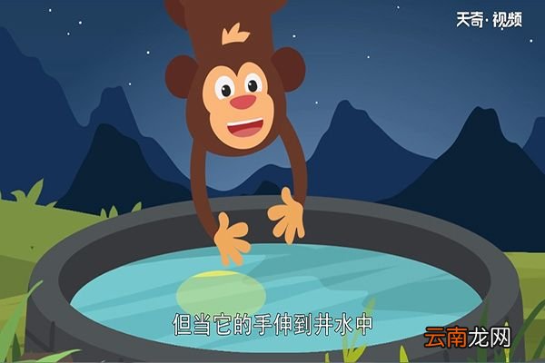 猴子捞月的故事