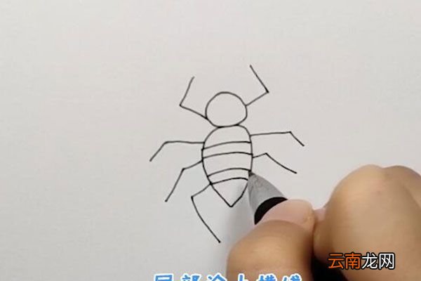 蜘蛛的简笔画