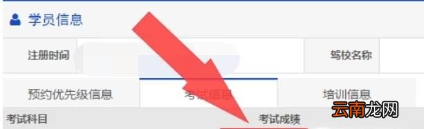 驾驶证科一成绩查询