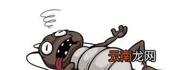 蟑螂怕什么？