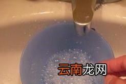 蟑螂怕什么？