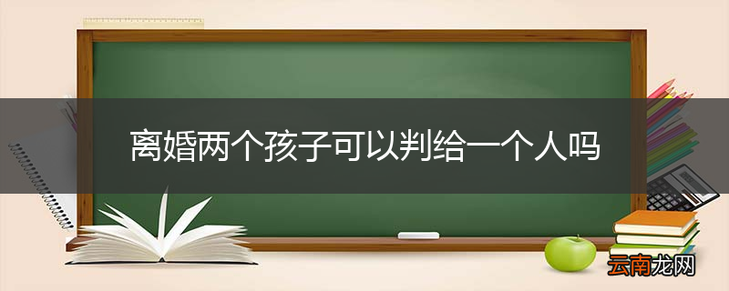 离婚两个孩子可以判给一个人吗