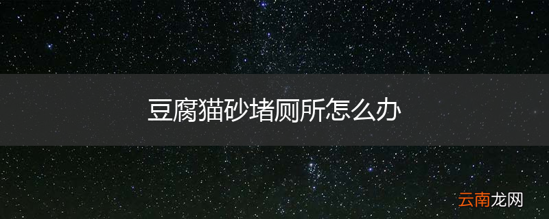 豆腐猫砂堵厕所怎么办