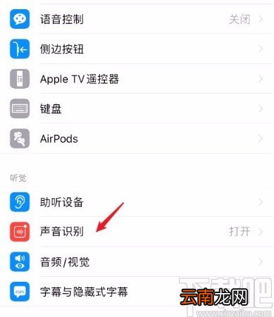 苹果手机关闭声音识别功能的方法