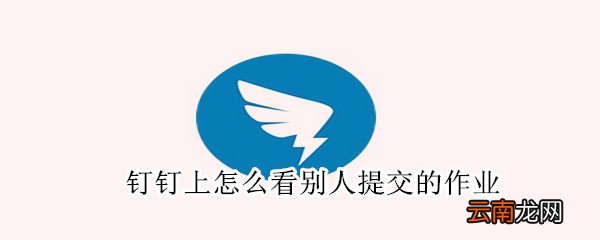钉钉上怎么看别人提交的作业