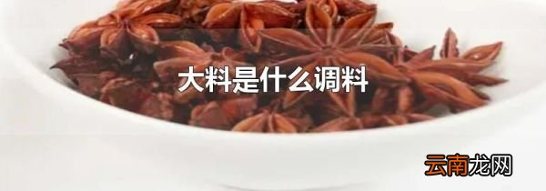 大料是什么调料