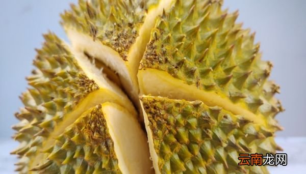 榴莲剥开没熟怎么办 怎样把剥开的榴莲变熟