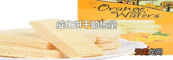 威化饼干的热量