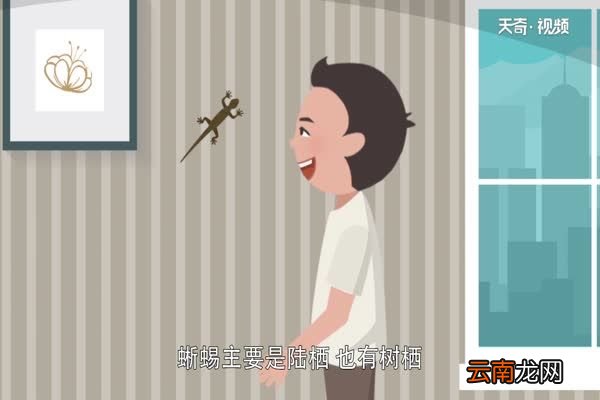 蜥蜴吃什么 蜥蜴以什么为食
