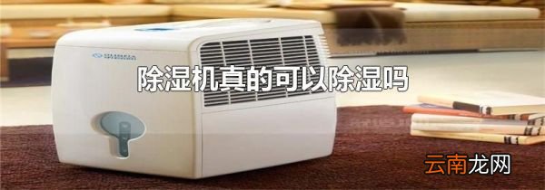 除湿机真的可以除湿吗