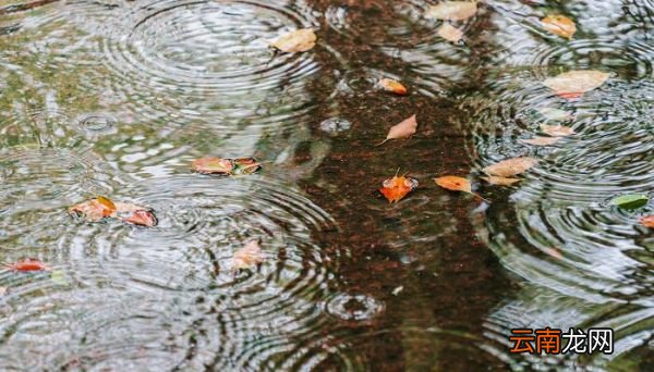 春夜喜雨的中心思想是什么 春夜喜雨的主旨是什么
