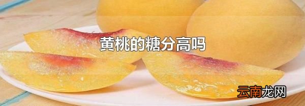 黄桃的糖分高吗
