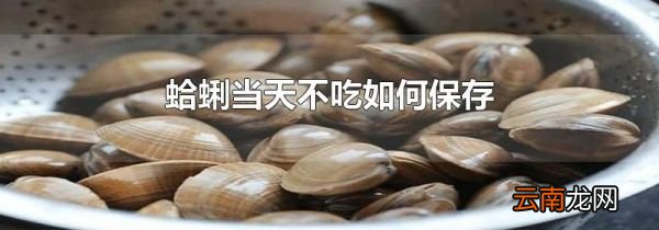 蛤蜊当天不吃如何保存