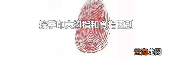 按手印大拇指和食指区别