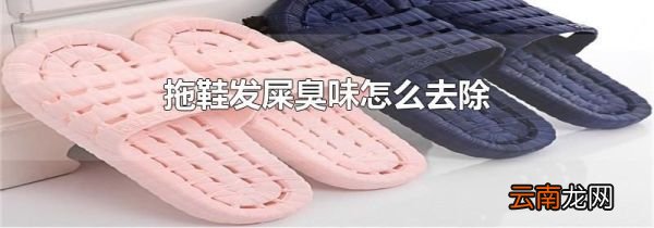 拖鞋发屎臭味怎么去除