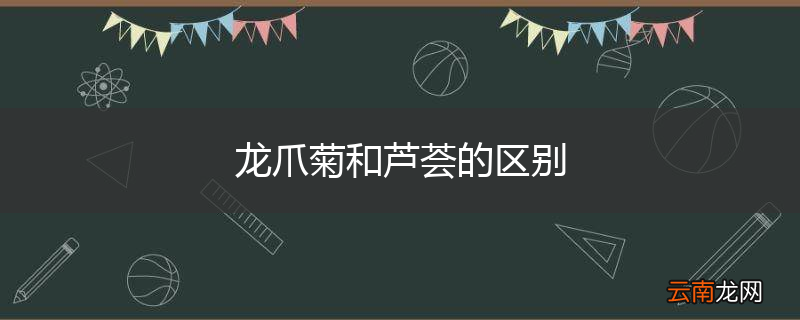 龙爪菊和芦荟的区别