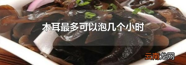 木耳最多可以泡几个小时