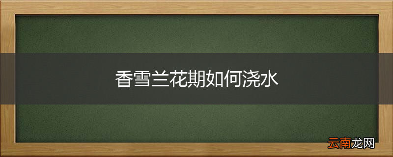 香雪兰花期如何浇水