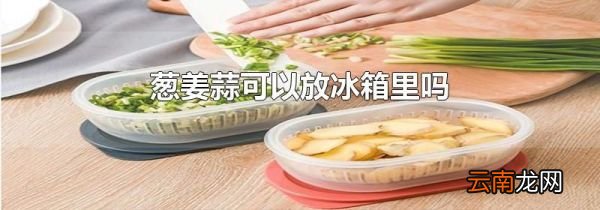 葱姜蒜可以放冰箱里吗