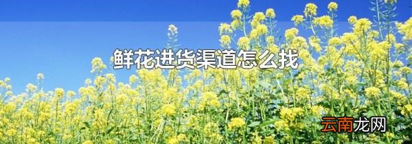 鲜花进货渠道怎么找