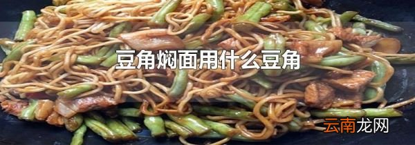 豆角焖面用什么豆角