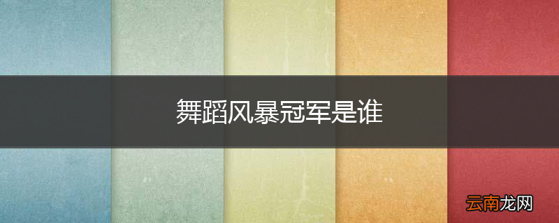 舞蹈风暴冠军是谁