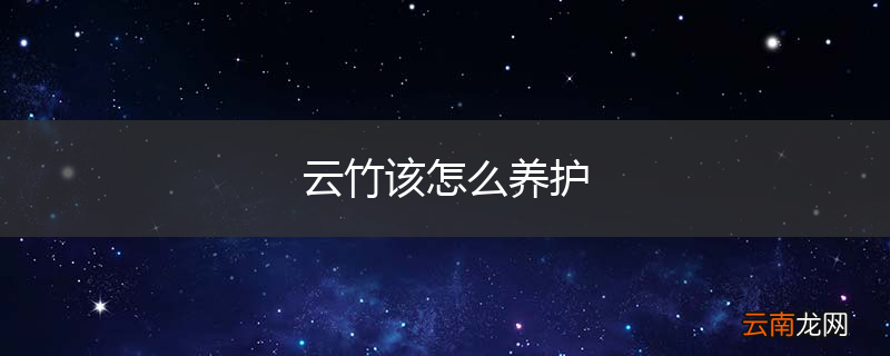 云竹该怎么养护