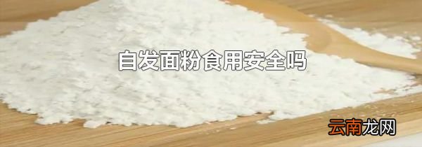 自发面粉食用安全吗