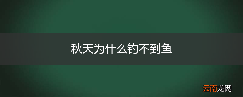 秋天为什么钓不到鱼