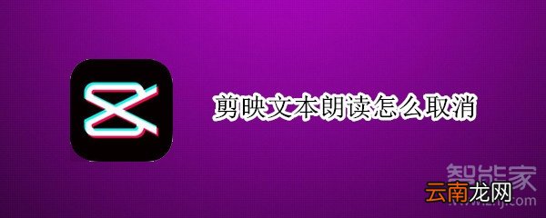 剪映文本朗读怎么取消