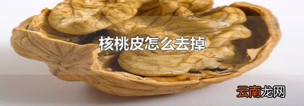核桃皮怎么去掉