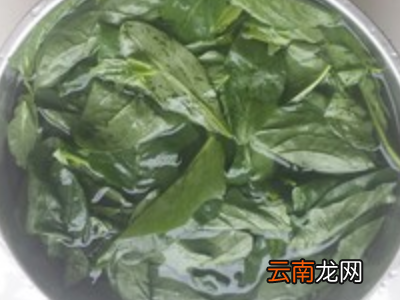 菠菜怎样榨汁