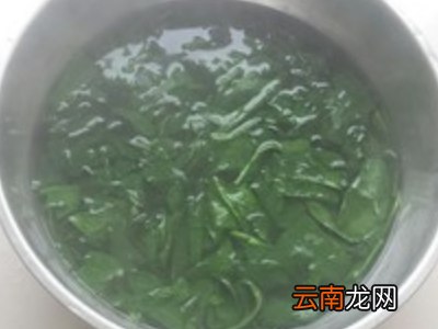 菠菜怎样榨汁