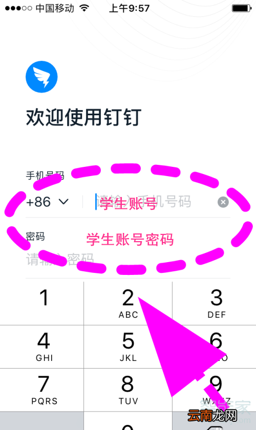 钉钉如何领取学生号