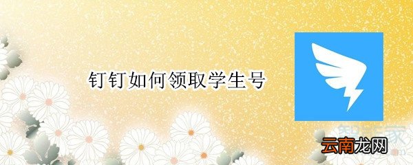 钉钉如何领取学生号