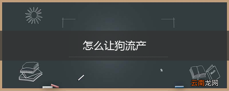 怎么让狗流产