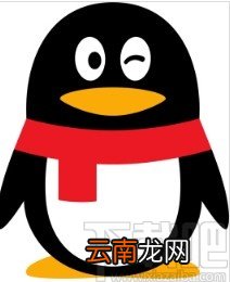 手机QQ打开群匿名聊天功能的方法
