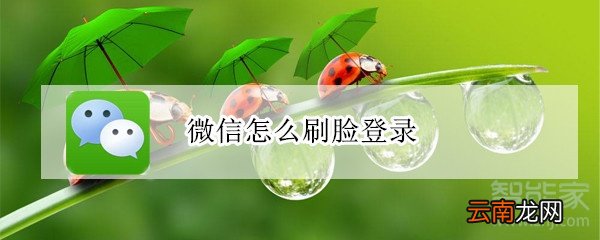 微信怎么刷脸登录