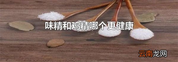 味精和鸡精哪个更健康