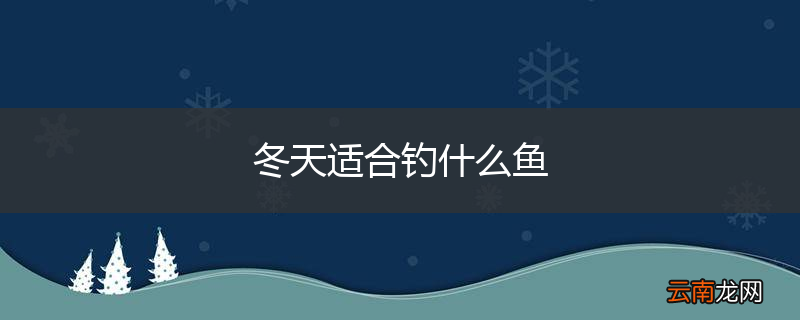 冬天适合钓什么鱼