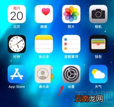 苹果手机开启电话降噪功能的方法