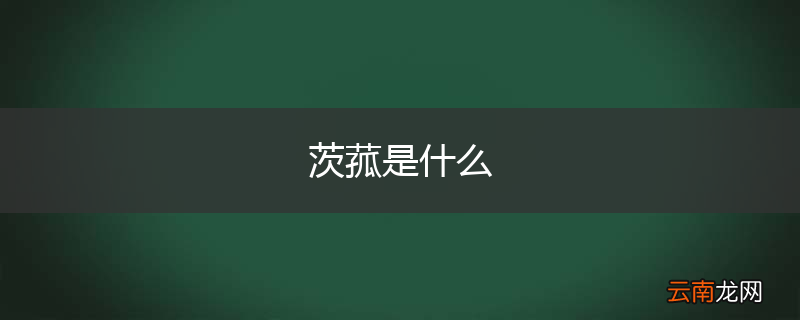 茨菰是什么
