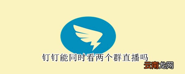钉钉能同时看两个群直播吗