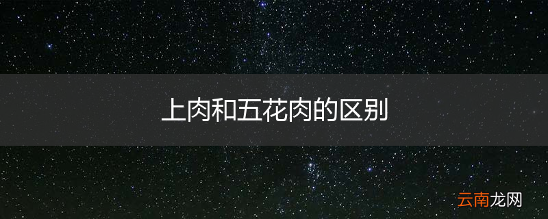 上肉和五花肉的区别