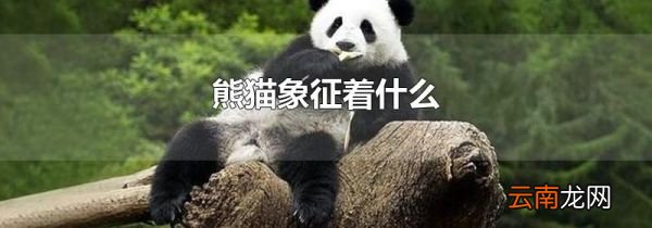 熊猫象征着什么